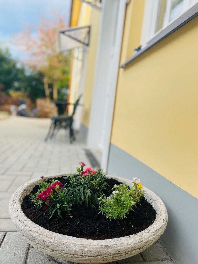 Villabaroque_Eger Exteriör bild
