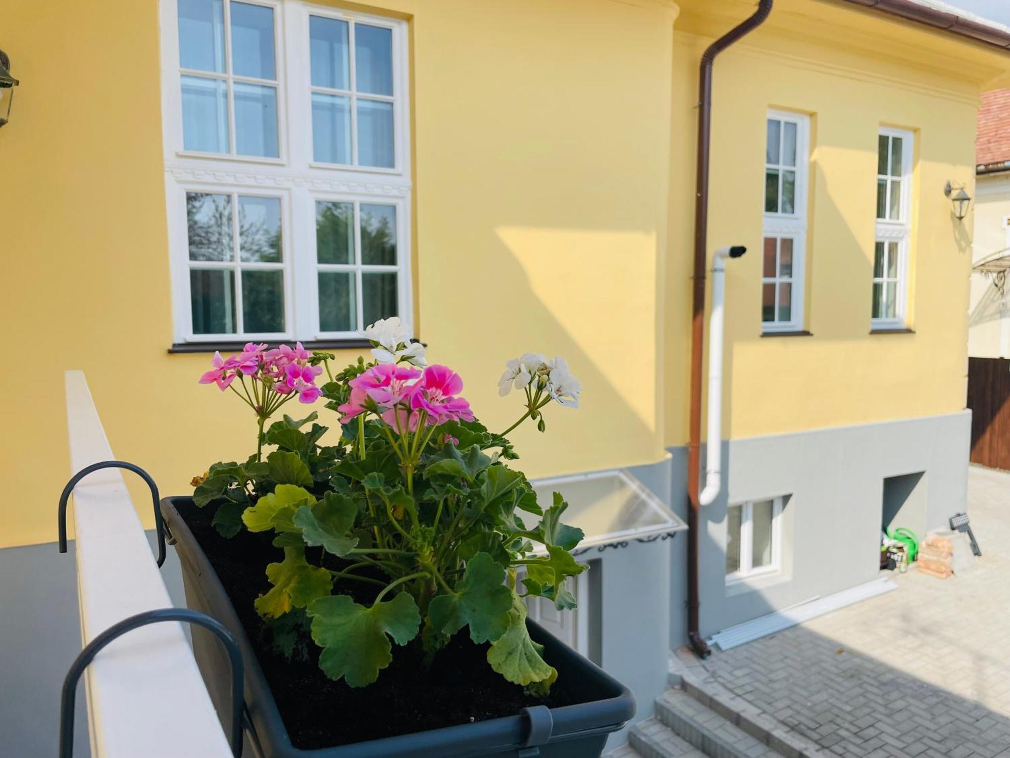 Villabaroque_Eger Exteriör bild
